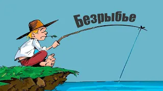 5 основных причин которые нужно знать, почему рыба не клюёт?