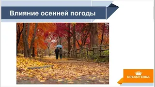 Сезон ОЗ!  Правило ЗДОРОВЬЯ!» 15-11-2023