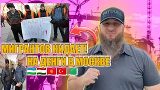 Мигрантов кидает на денги в Москве кыргызы узбеки таджики обратились к Зелимхану? #чечня