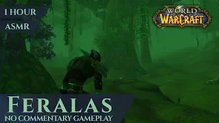 Vanilla Feralas - Gameplay No Commentary, ASMR (1 hour, 4K, World of Warcraft Classic)