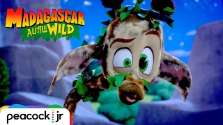 Melman Gets Lost | MADAGASCAR A LITTLE WILD