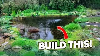 DIY Dream pond build and 3 year update