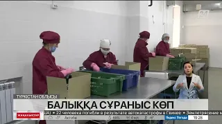 Түркістан облысы Шардара ауданында бес балық зауыты жұмыс істейді