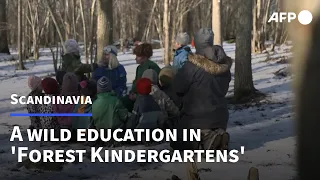 A wild education in Scandinavia's 'Forest Kindergartens' | AFP