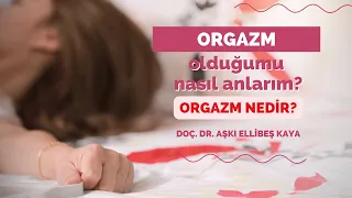 Orgazm nedir? Orgazm olduğunu nasıl anlarsın? - Doç. Dr. Aşkı Ellibeş Kaya