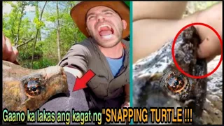 HOW to Survive a Snapping Turtle Bite @gabrielarchangeltv