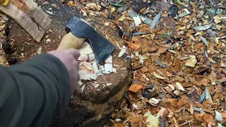 Spoon Carving. Pluot Wood