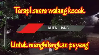 Terapi suara walang kecek untuk menghilangkan pusing/puyeng