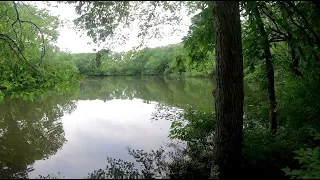 Fishing Overgrown Abandoned Pond In Shawnee Mission Park