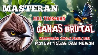 2 jam masteran full tembakan Ganas dan Brutal masteran idola para juri Materi Tegas dan Mewah