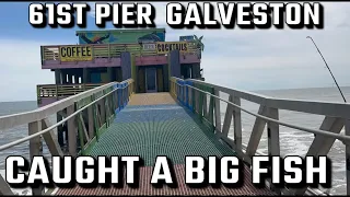 Galveston fishing on 61st pier