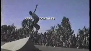 Sacto StreetStyle 1986, Gonz, Hosoi, Natas, Caballero