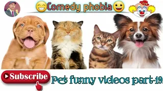 😃Pet funny videos part-19/🐈‍⬛vs🐕😁Animalspetvideos#petsim