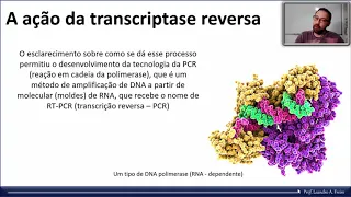 A ação da transcriptase reversa e o HIV