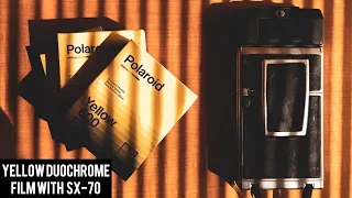 Polaroid Yellow Duochrome Film⎜SX-70 Shooting