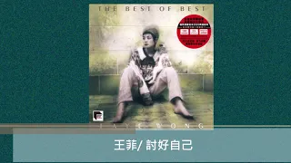 王菲/ 討好自己@The Best Of Best Faye Wong (2x ARS Vinyl)