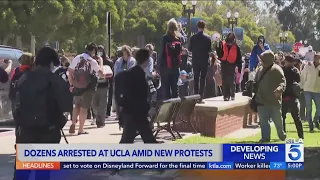 More protesters detained at UCLA; classes moved to remote