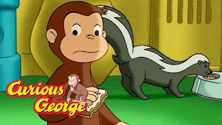 Don't scare the skunk! 🐵 Curious George 🐵 Kids Cartoon 🐵 Kids Movies 🐵 Videos for Kids