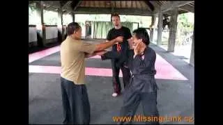 Silat - Training in Indonesia 2011 / 2012