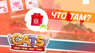 Что Дают в Красном Ящике в МУСОРНЫХ БЕГАХ? C.A.T.S: Crash Arena Turbo Stars