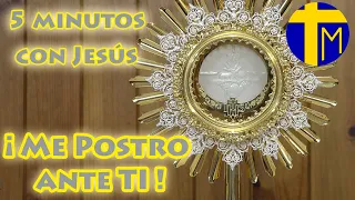 5 minutos con Jesús Sacramentado. Adoración al Santísimo Sacramento del Altar.