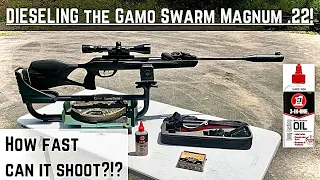 Dieseling the Gamo Swarm Magnum .22!