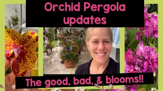 Orchid Garden Updates- The good, the bad and some beautiful blooms!! 🌸