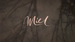 Miel de Botton - Forest Prayer (For Our Times) Lyric Video