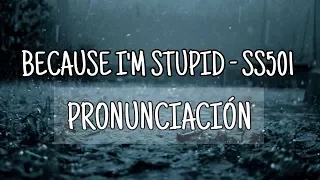 Because I’m Stupid - SS501 [Pronunciación] [Fácil]