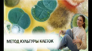 Урок 8 | Метод культуры клеток и тканей. Микробиологические методы исследования