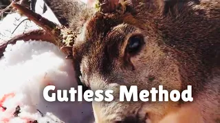 How To Field Dress a Deer 'THE GUTLESS METHOD'