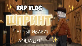 КОНОБЛОГ|STAR STABLE|ПРЫГАЕМ В ШПРИНТЕ