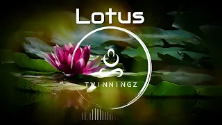 Twinningz - Lotus (Copyright Free Vlog Music)