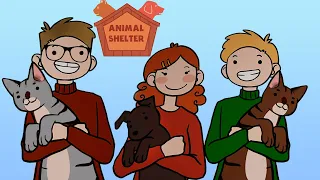 Animal Shelter ☛ Как я котиков спасал