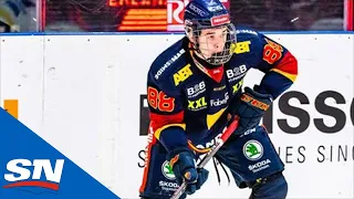Top NHL Prospect Alexander Holtz Career Highlights, Djurgarden (SHL)