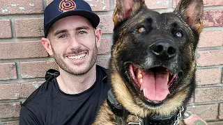 [Behind the Scenes]  Meet my new K9 Partner KOBUS!