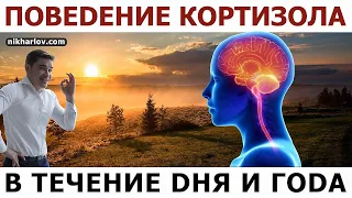 Свет Солнца регулирует кортизол, циркадный ритм. Зимняя депрессия, сезонность уровня кортизола