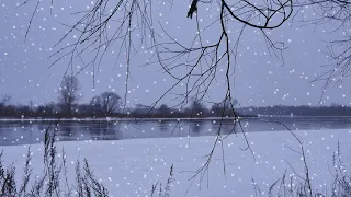 Beautiful snow storm, river bank. Winter landscapes and views.  Sounds of snowfall, wind, (no music)