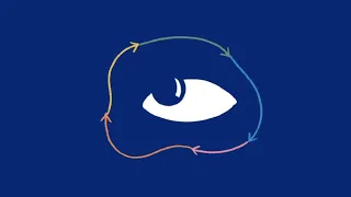 How Does the Brain Control Eye Movements?