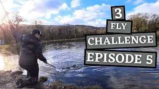 Tyn-Y-Graig Trout Fishery - 3 Fly Challenge - Episode 5 - UKFlyFisher
