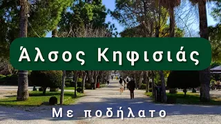 Άλσος Κηφισιάς με ποδήλατο!