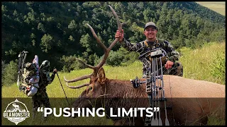 New Mexico Archery Elk - PUSHING LIMITS