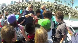 Sea Star Charters: Palmquist Elementary Ocean Classroom Day 2