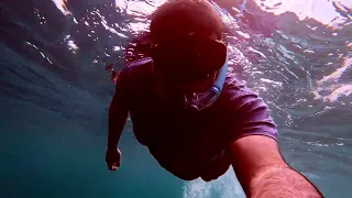 Snorkelling in maldives constance moofushi resort