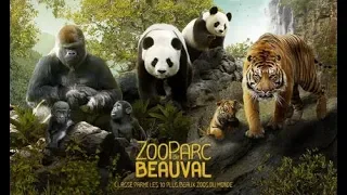 Zoo Parc de Beauval - Mai 2018