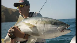 Awesome kingfish topwater action!