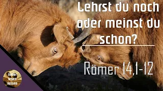 Lehrst du noch oder meinst du schon? | Leib Christi | Impuls | lieber lesen lassen