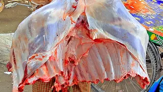 Most Aggressive Knife Skills | How to Butcher a Cow | Top Beef Cutting Skills | Expert Chef of India