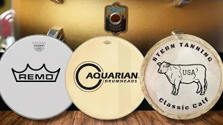 Remo Ambassador, Aquarian Vintage vs Calfskin! - Demo on a Leedy Broadway Standard