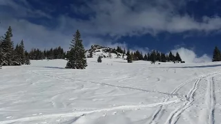 Skitour Peitingköpfl (1720m) - Chiemgauer Alpen